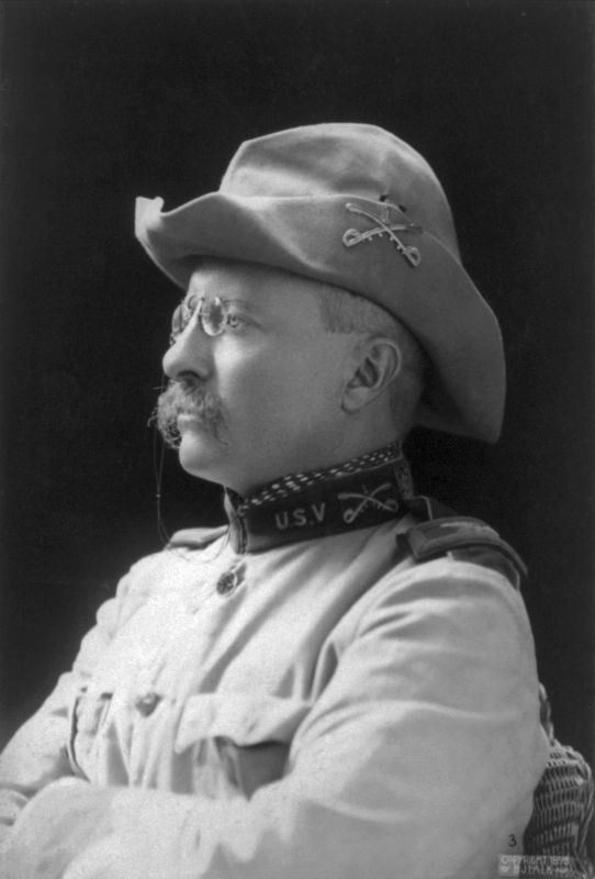 theodore roosevelt